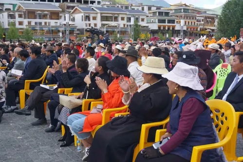 共话京玉情 同筑中国梦——首都艺术家赴玉树文化交流活动侧记